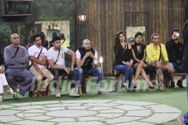 Contestants in Bigg Boss 8