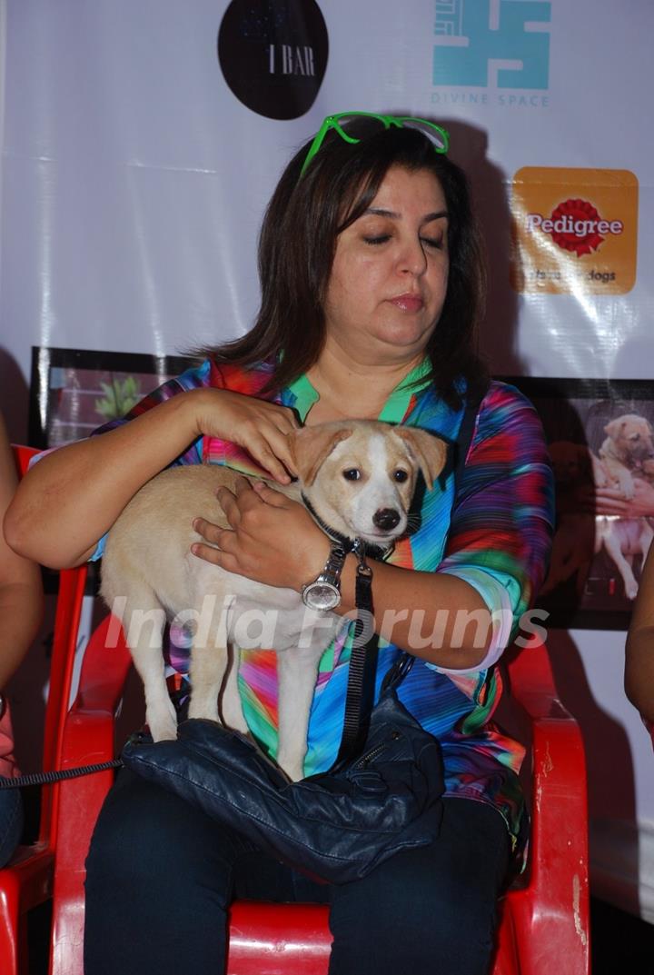 Farah Khan cuddles a puppy at Pet Adoptathon 2014