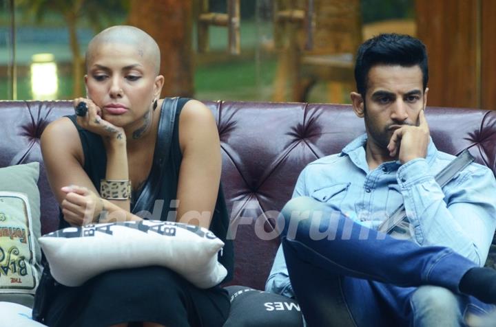 Bigg Boss 8