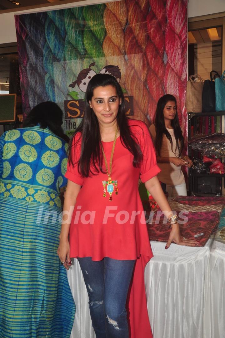 Mana Shetty poses for the media at Araish Exhibition
