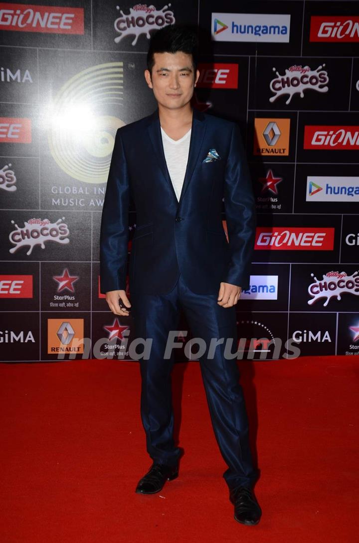 Meiyang Chang poses for the media at GIMA Awards 2015