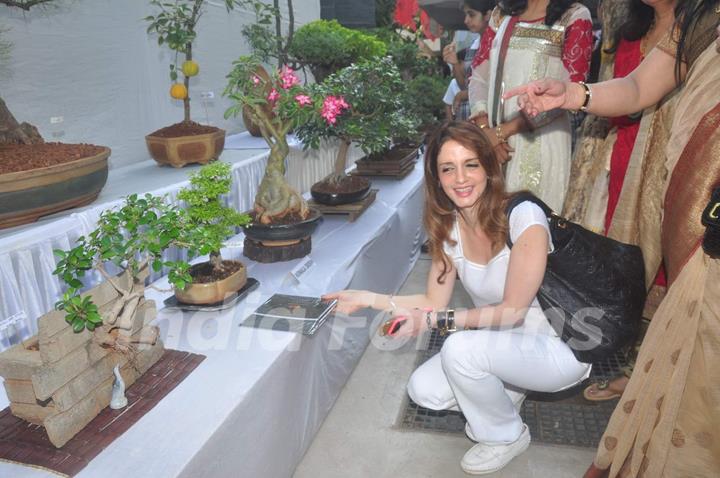 Suzanne Khan was snapped at the Inauguration of Exotic Bonsai Exhibition