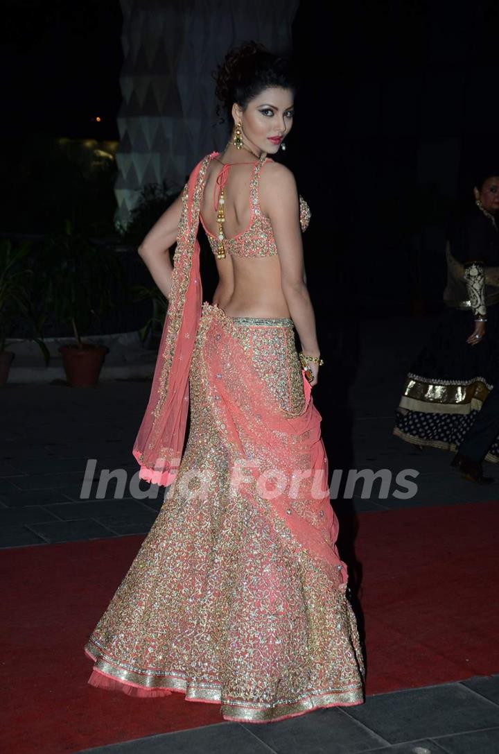 Urvashi Rautela poses for the media at Tulsi Kumar's Wedding Reception