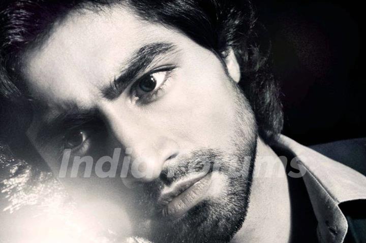 Harshad Chopra in Humsafars