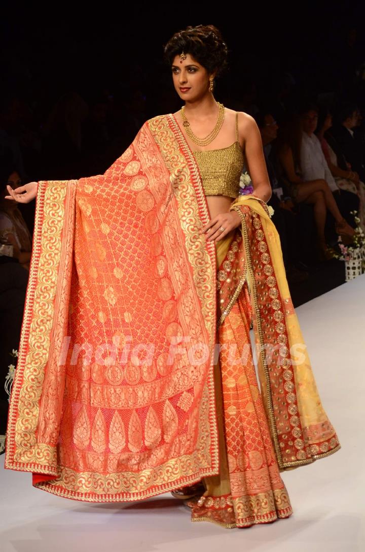 Aishwarya Sakhuja at IIJW 2015