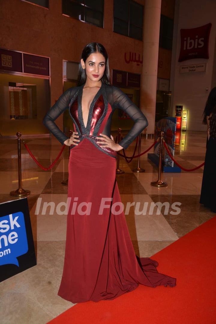 Sonal Chauhan at SIIMA 2015