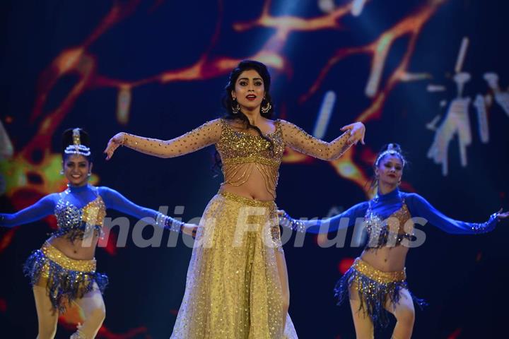 Shriya Saran Performs at SIIMA 2015