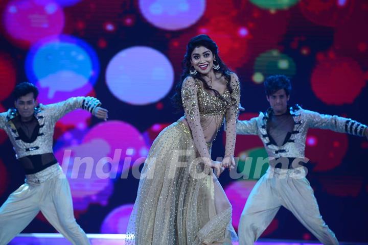 Shriya Saran Stuns Everyone With Her Performance at SIIMA 2015