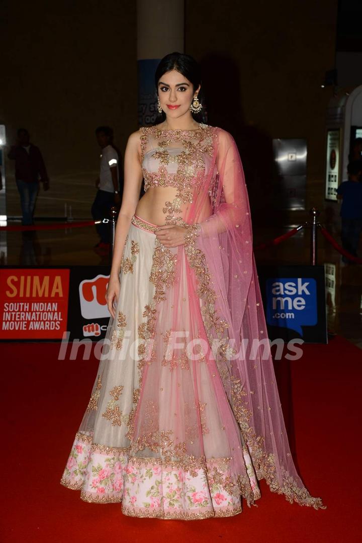 Adah Sharma at SIIMA 2015