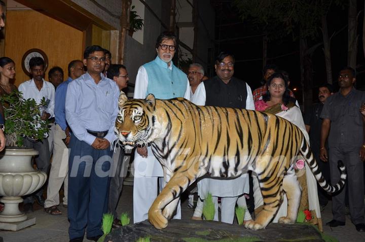 Amitabh Bachchan at Save The Tiger Campaign