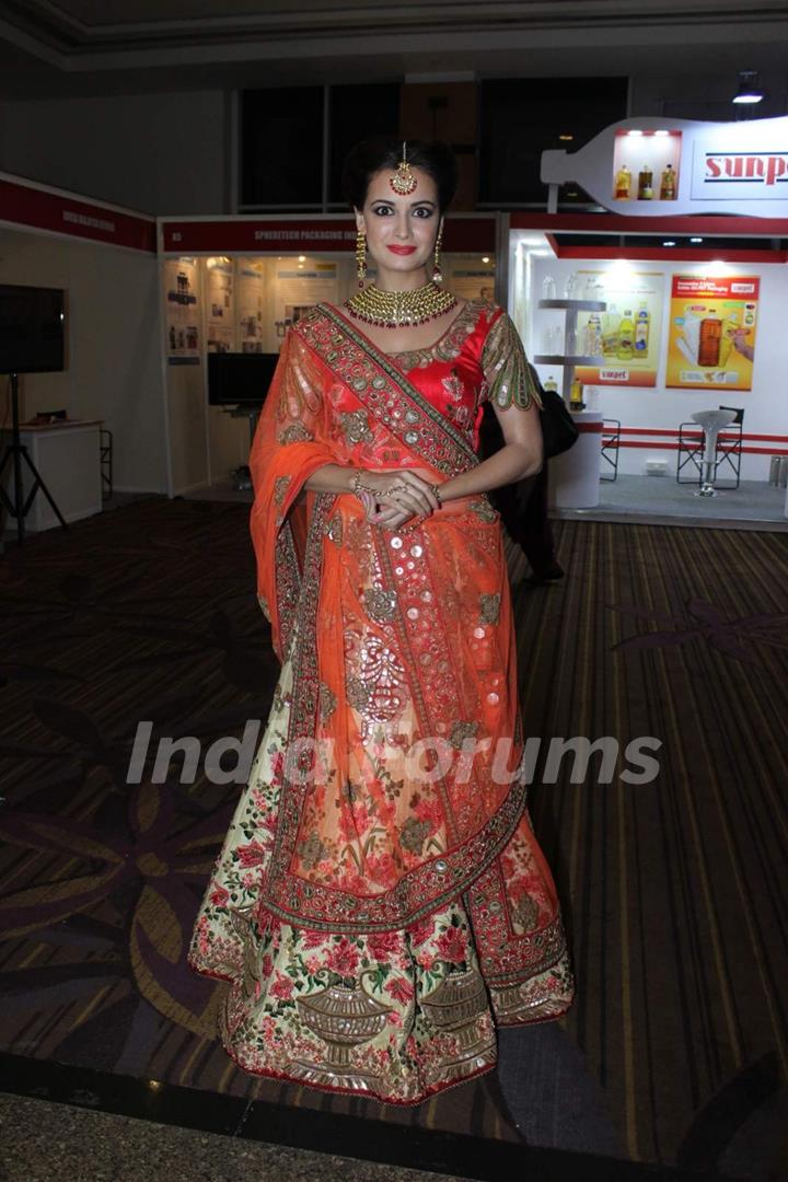 Dia Mirza at the Globoil Awards