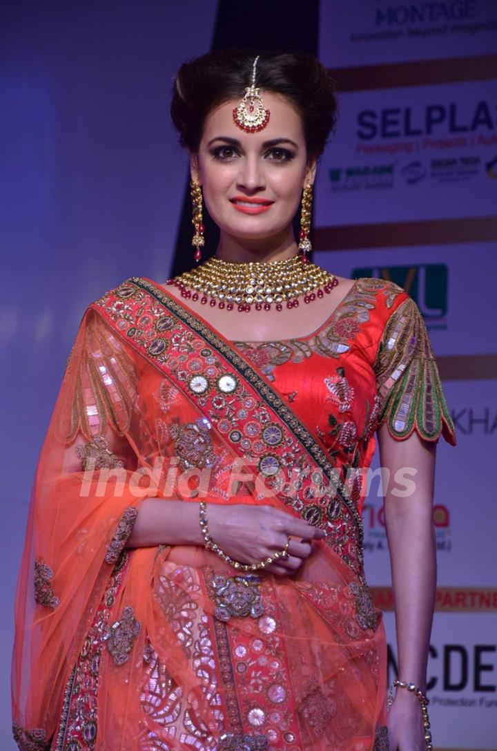 Dia Mirza walks the ramp at the Globoil Awards