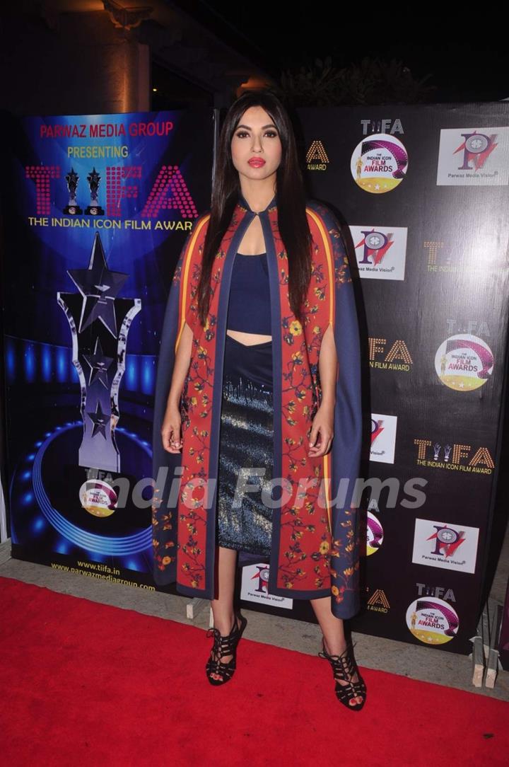 Gauahar Khan at TIFA Awards