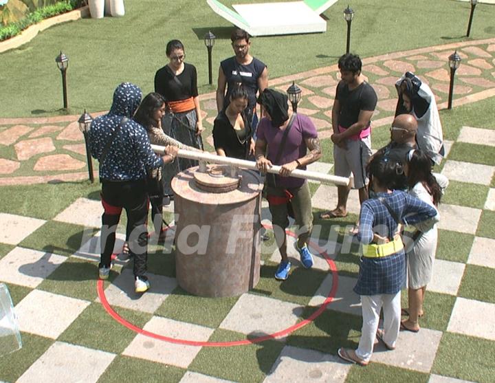 Bigg Boss Nau : Day 9 - Contestants Doing Task