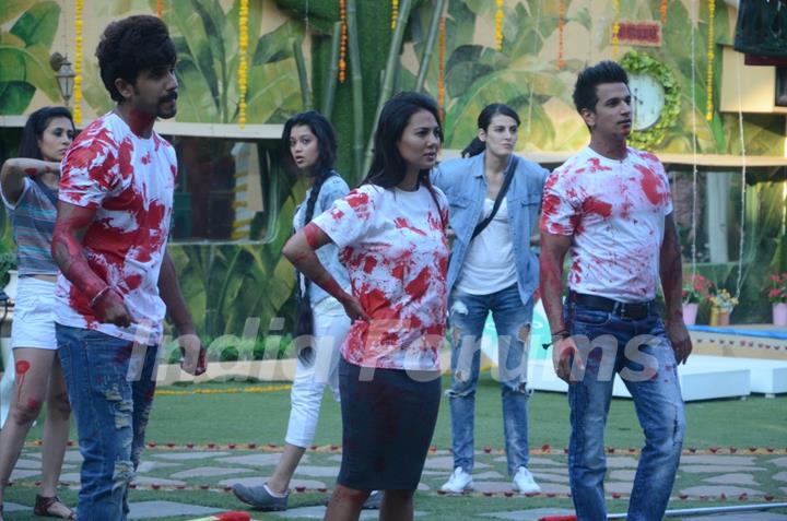 Bigg Boss 9 Nau: Day 33 - Contestants