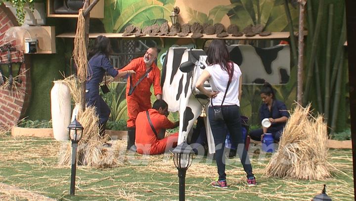 Bigg Boss 9 Nau: Day 44- Contestants performing the Dairy Task