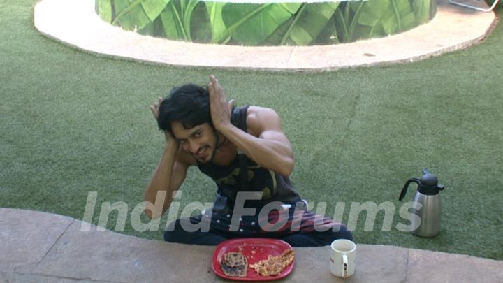 Bigg Boss 9 Nau: Day 72- Rishab Sinha