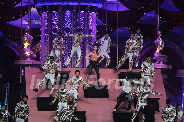 Shraddha Kapoor's performance at the 22nd Annual Star Screen Awards