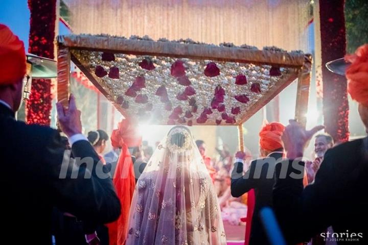 Asin Thottumkal and Rahul Sharma's Wedding pics