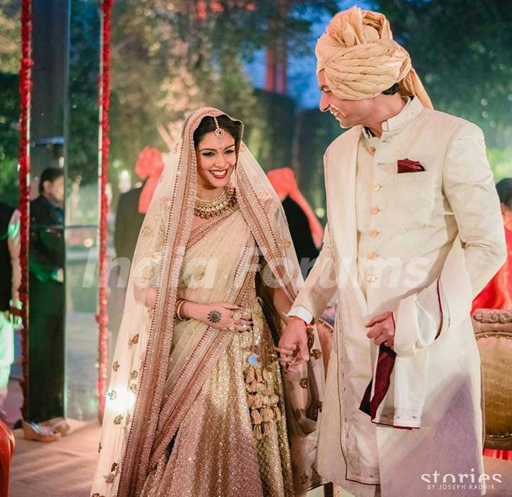 Asin Thottumkal and Rahul Sharma's Wedding pics