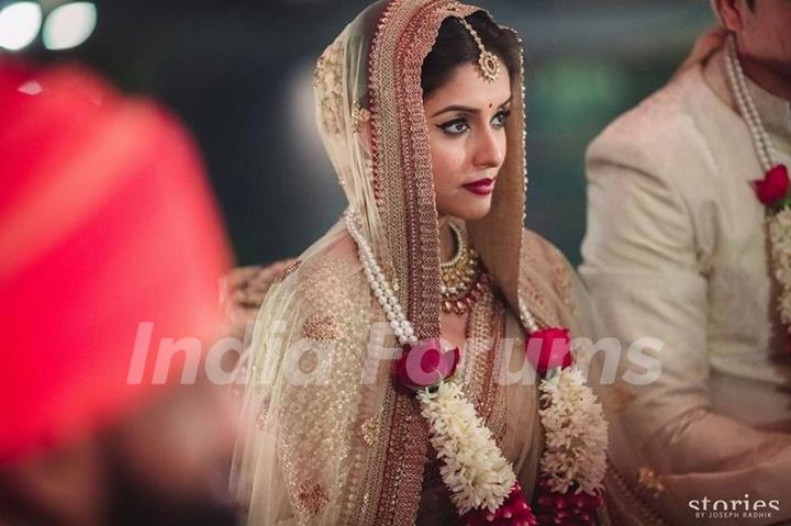 Asin Thottumkal and Rahul Sharma's Wedding pics