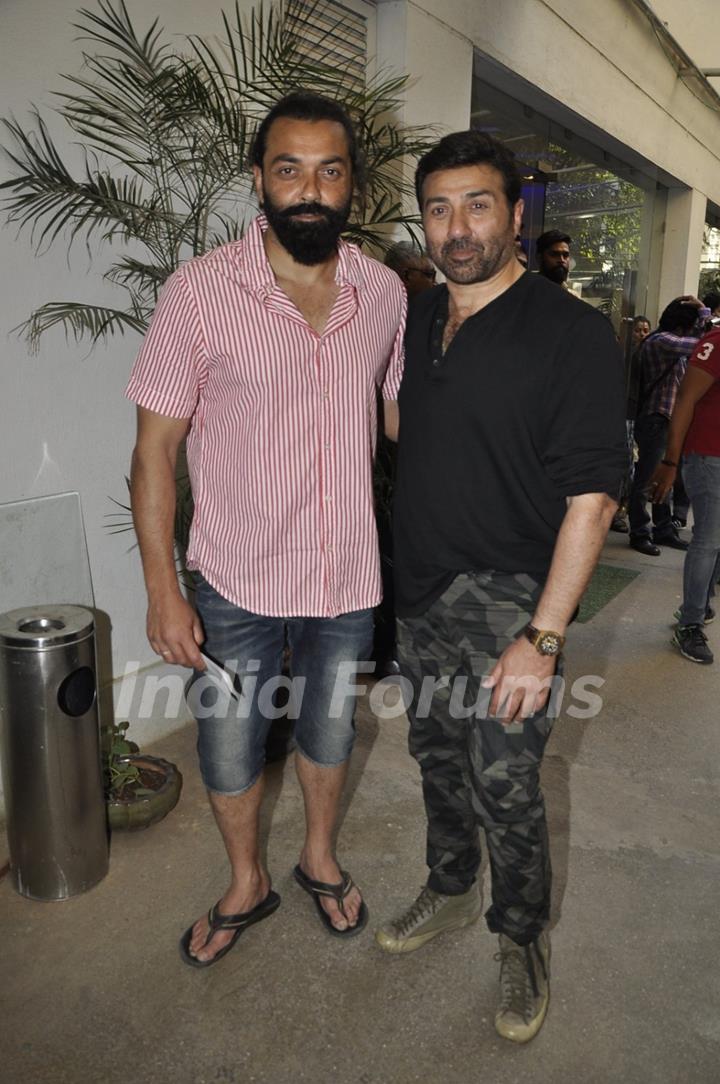 Bobby Deol and Sunny Deol at Special Screening of 'Aligarh'