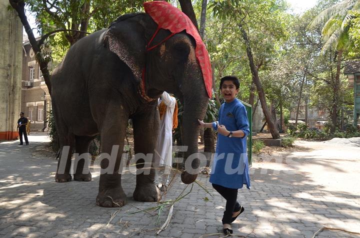 Neel Sethi with an elephant kick starting his International Tour for The Jungle Boook from India