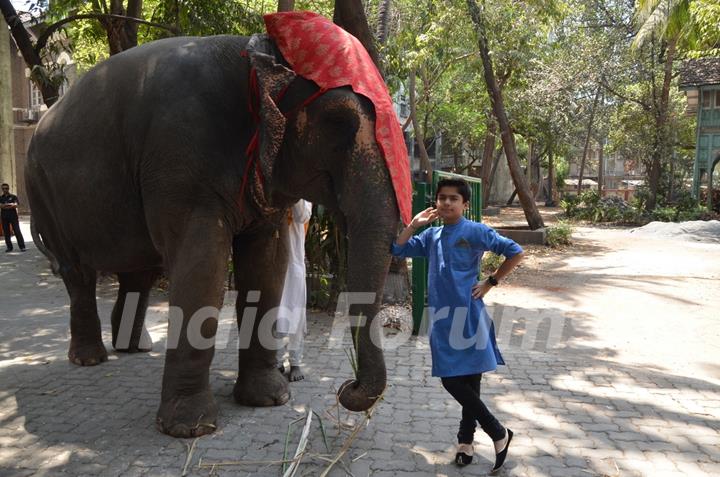 Neel Sethi snapped with an elephant at his International Tour for his upcoming movie The Jungle Book