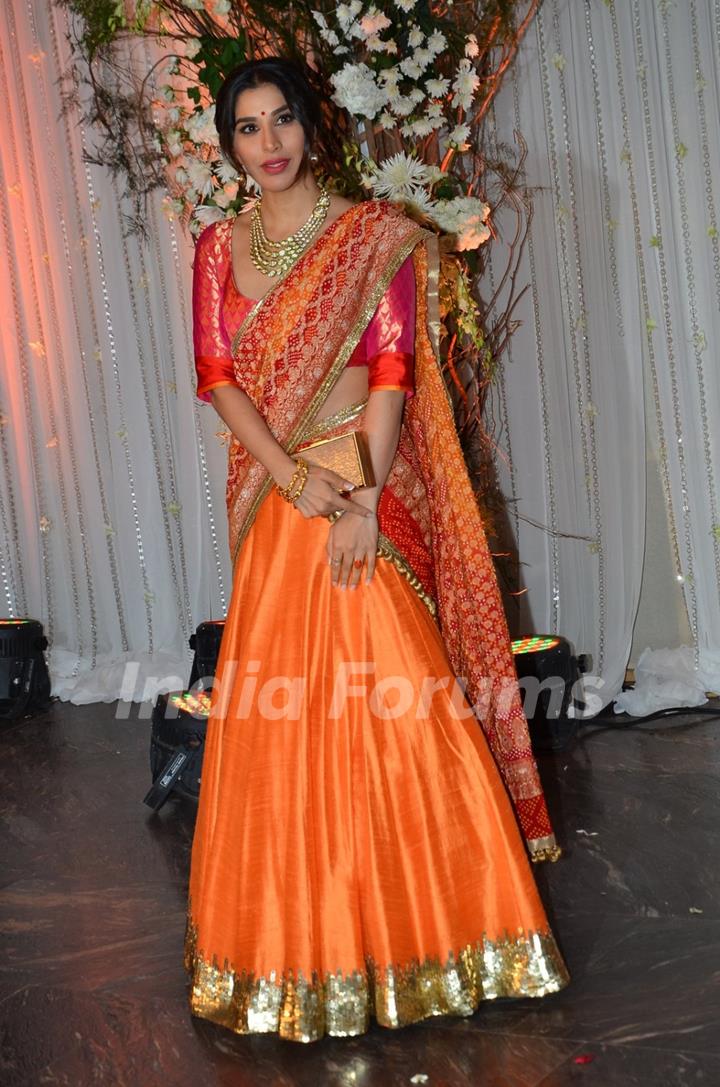 Sophie Choudry at Karan - Bipasha's Star Studded Wedding Reception