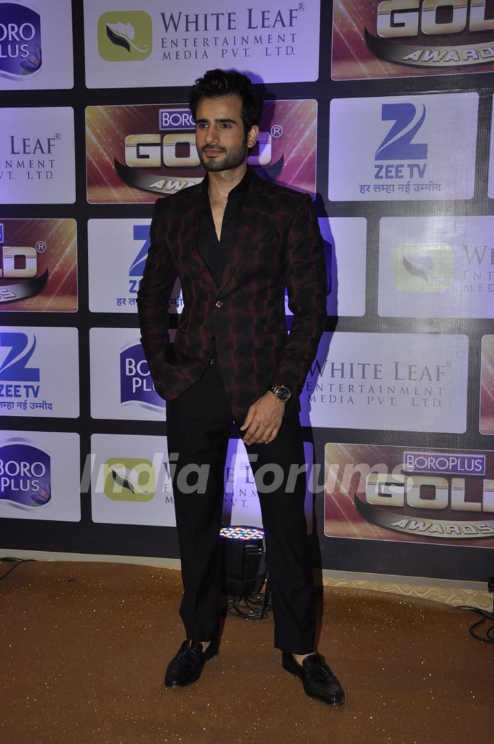 Karan Tacker at Zee Gold Awards 2016