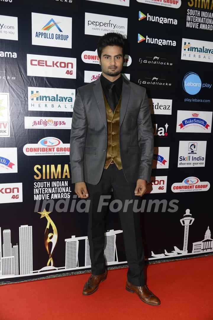 Sudheer Babu at SIIMA Awards 2016