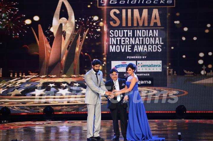 Sonal Chauhan and Rana Daggubati at SIIMA Awards 2016