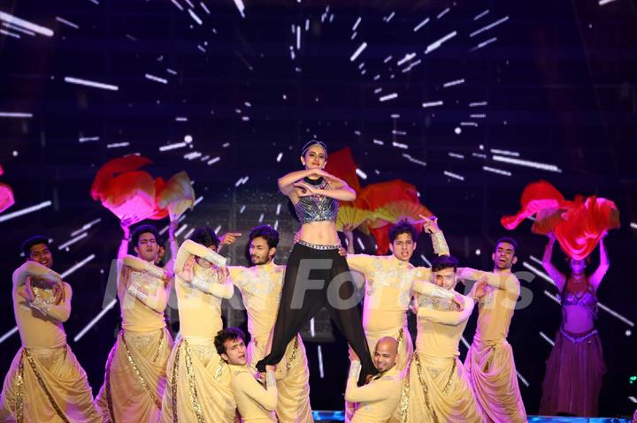 Rakul Preet Singh at SIIMA Awards 2016