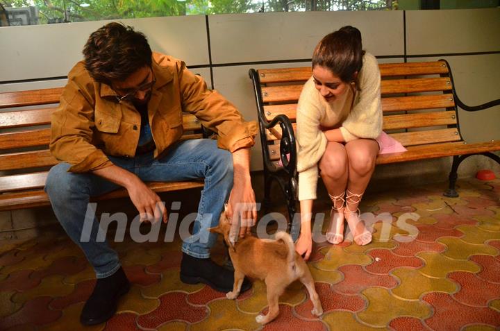 Kartik Aaryan and Ananya Panday snapped playing with a puppy during the promotions of Pati Patni Aur Woh