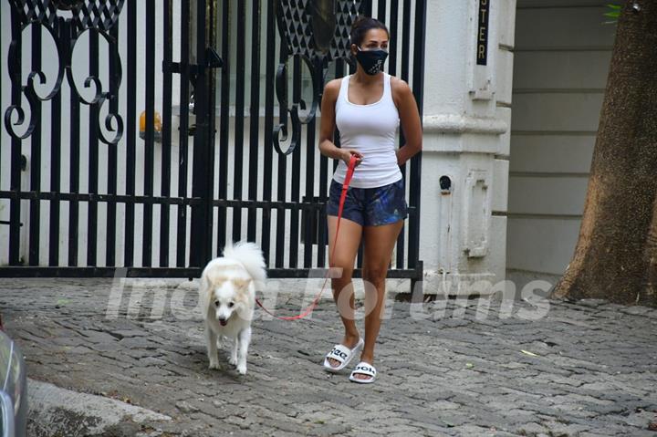 Malaika Arora steps out for a walk with her pet