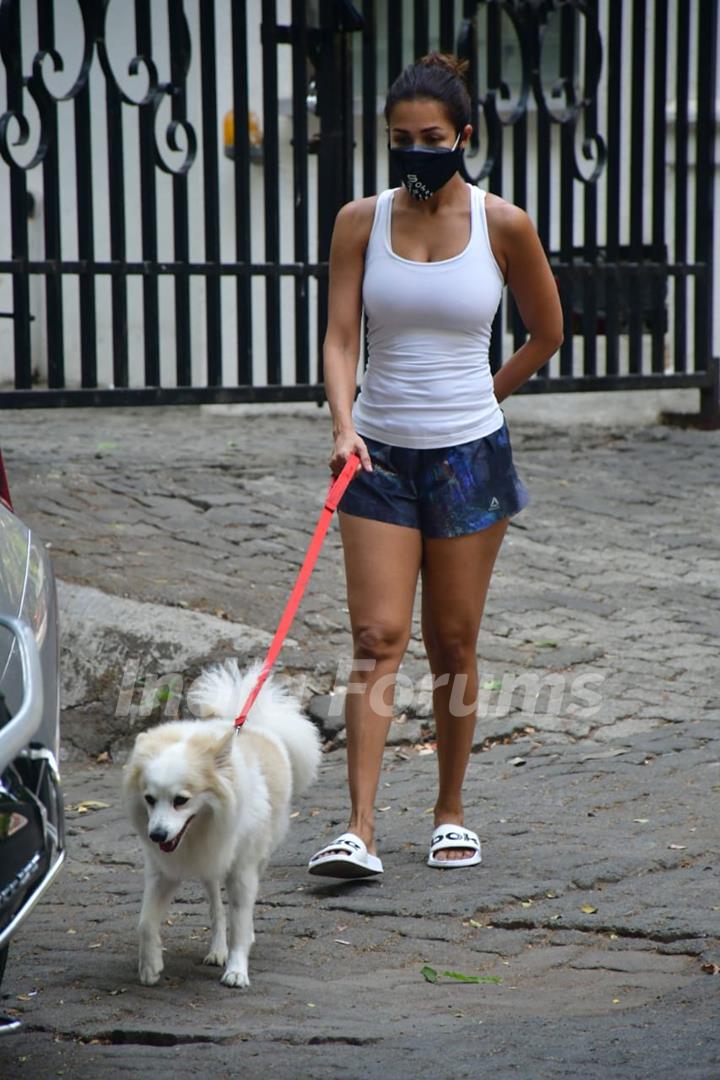 Malaika Arora steps out for a walk with her pet