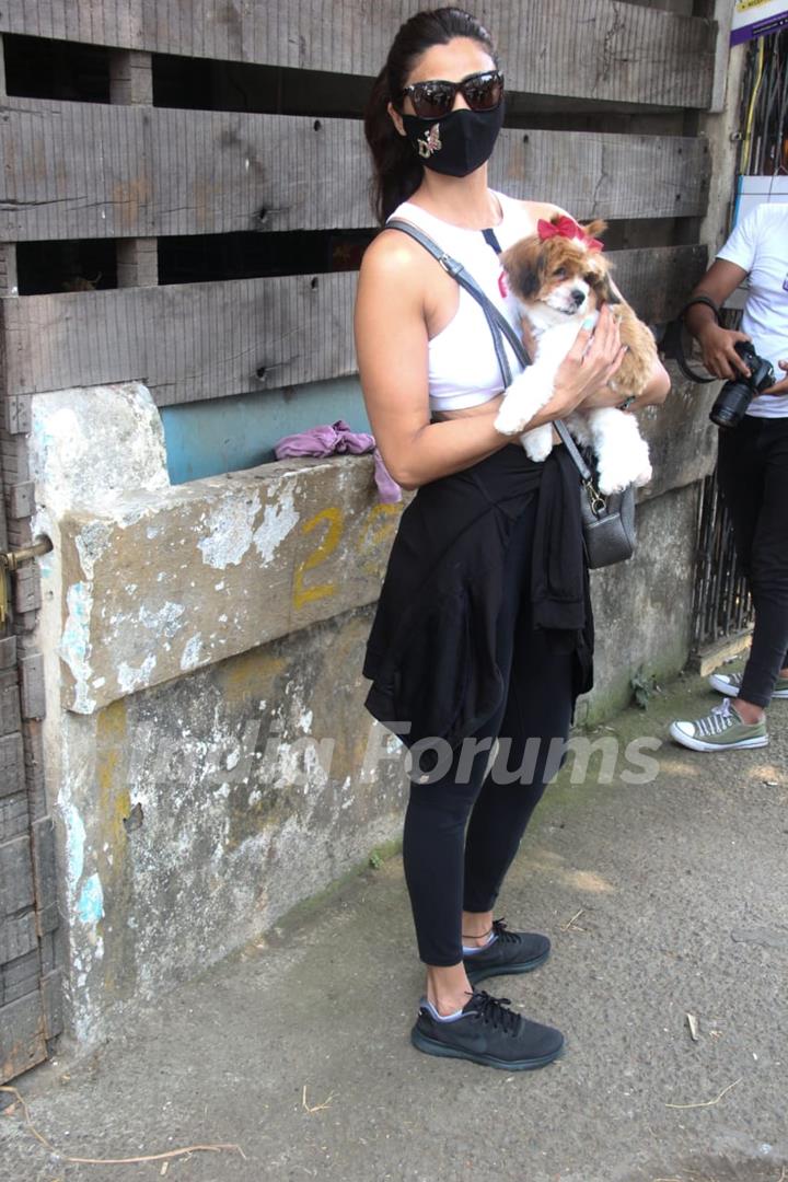 Daisy Shah spotted at a pet shop in Bandra