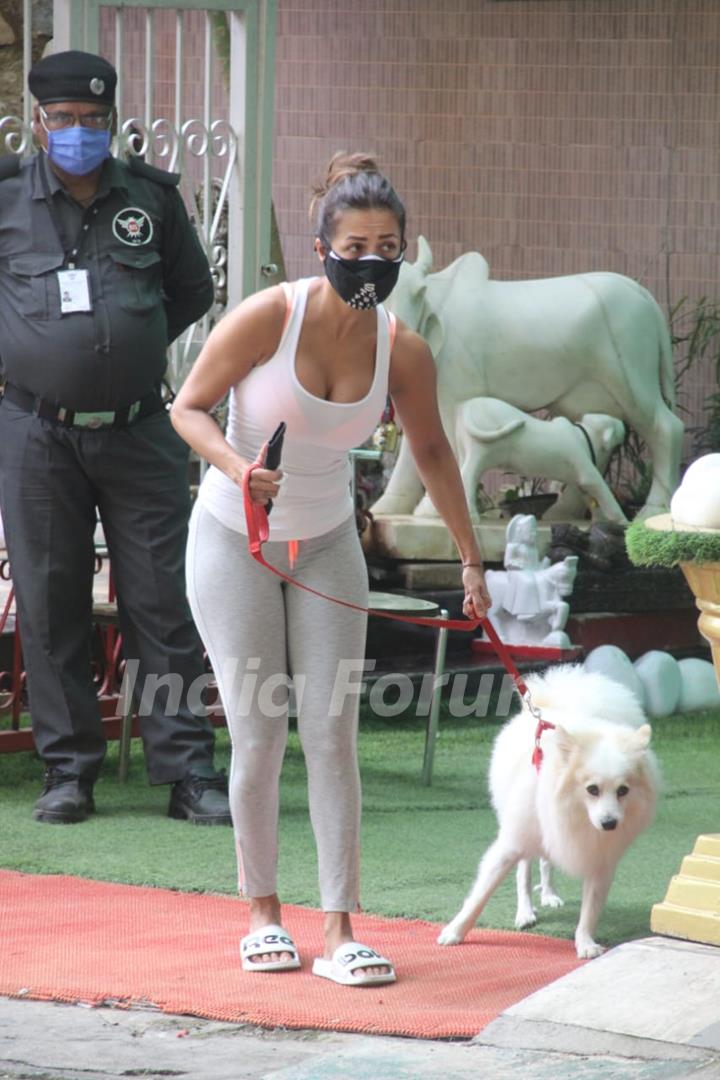 Malaika Arora steps out for a walk with her pet in Bandra