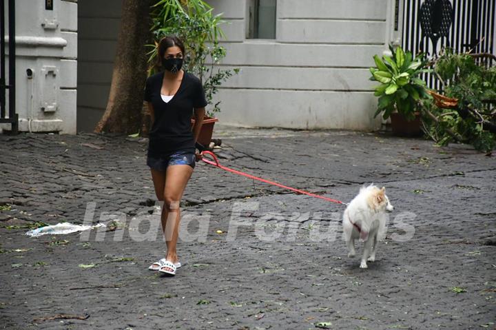 Malaika Arora snapped this morning taking her dog for a walk