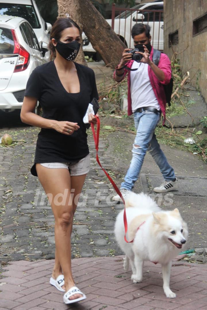 Malaika Arora steps out for a walk with her pet in Bandra