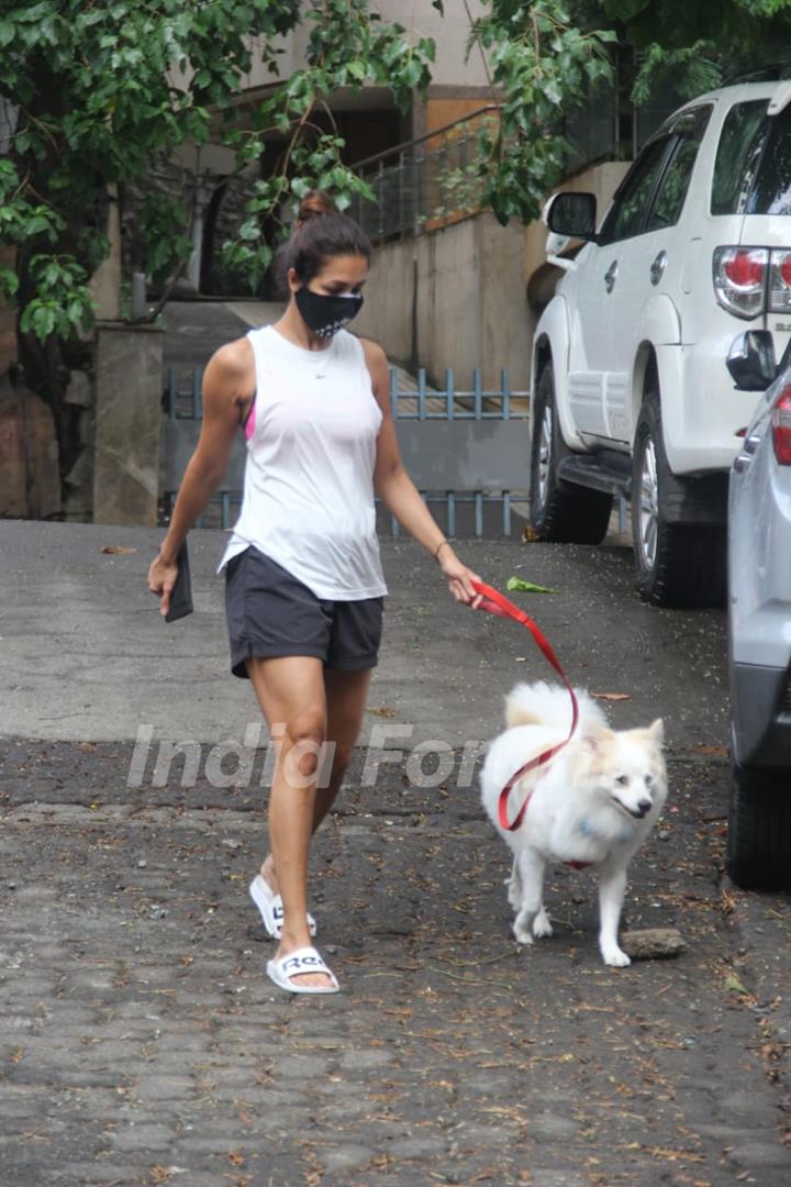 Malaika Arora snapped walking her pet in Bandra