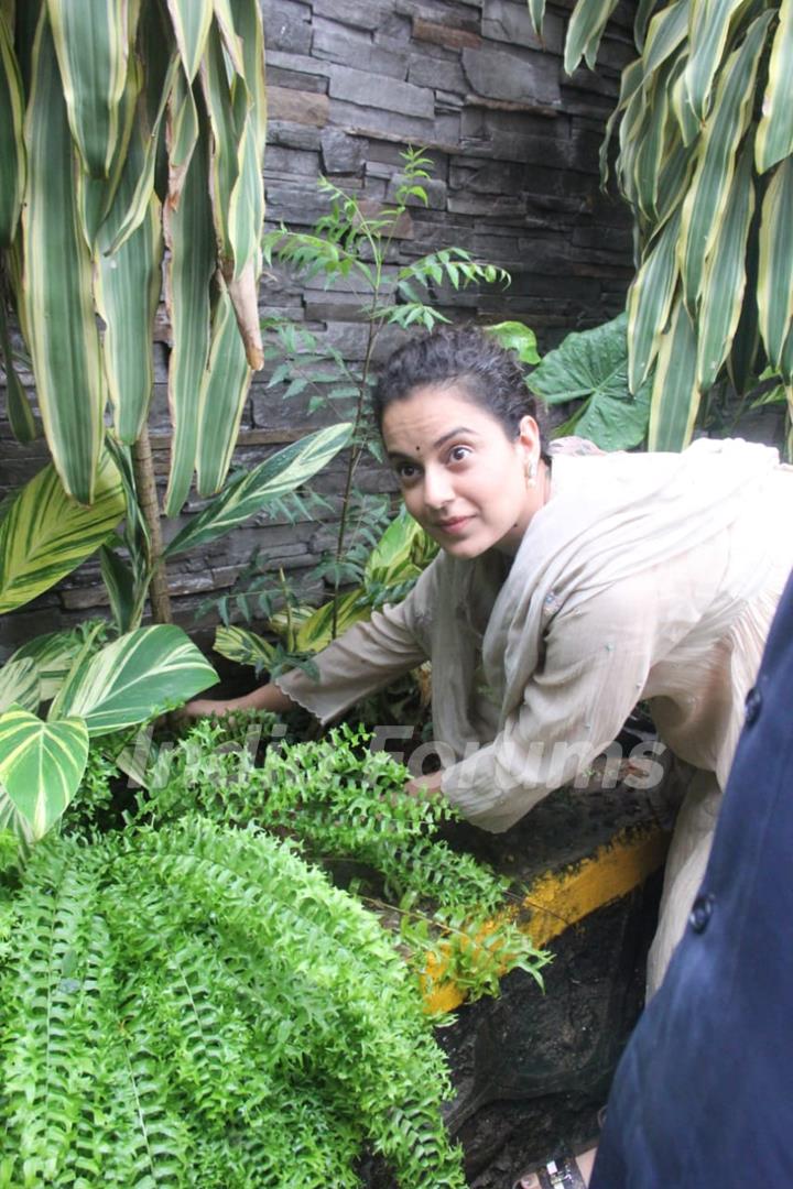 Kangana Ranaut snapped planting trees outside her office!