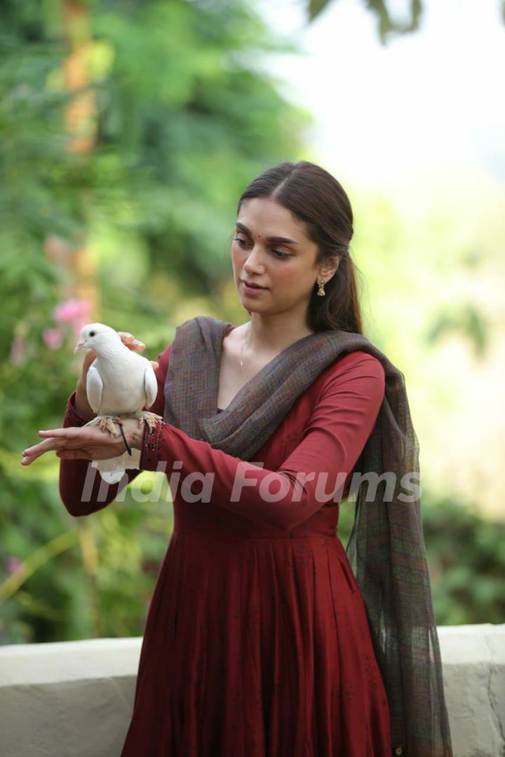 Aditi Rao Hydari in her debut Malayalam film - 'Sufiyum Sujatayum'