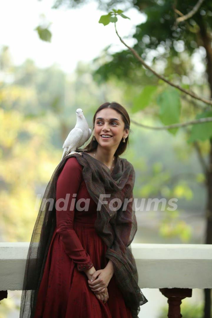 Aditi Rao Hydari in her debut Malayalam film - 'Sufiyum Sujatayum'