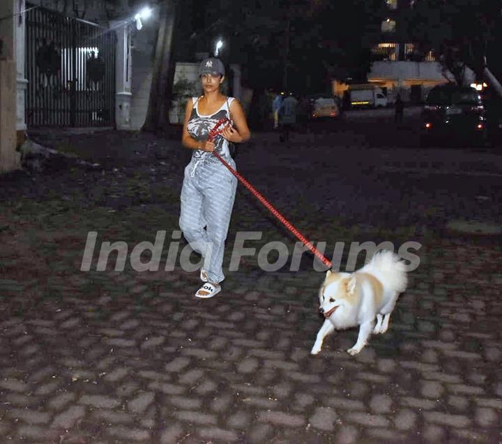 Malaika Arora spotted with her pet in Bandra