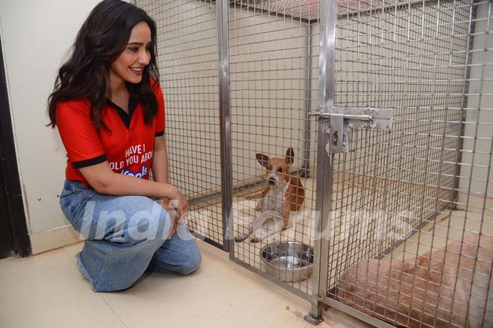 Neha Sharma spotted at Pet shelter in Khar