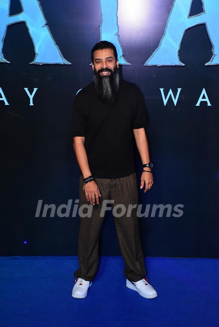 Celebritie attend the premiere of Avatar – The Way Of Water