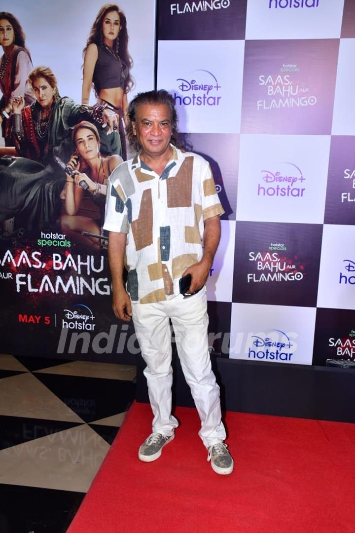 Vipin Sharma grace the premiere of Saas, Bahu Aur Flamingo