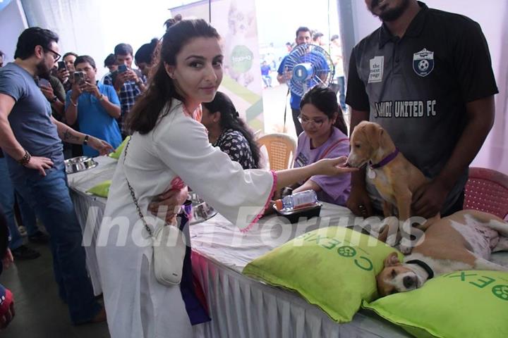 Saif Ali Khan, Soha Ali Khan and Sharmila Tagore spotted at Adoptathorn event