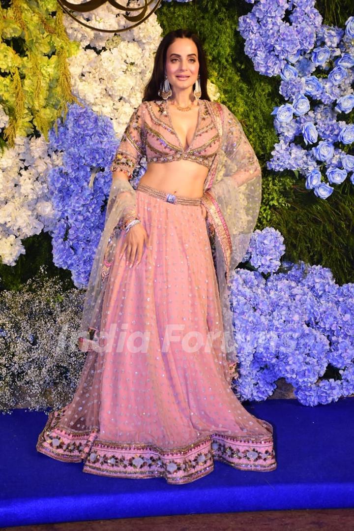 Ameesha Patel attend Anand Pandit’s daughter Aishwarya's wedding reception